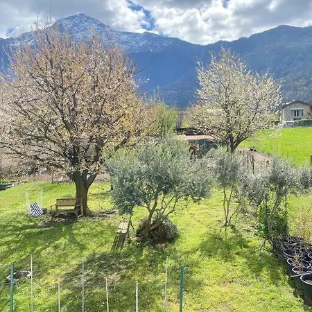 Il Giardino Dei Ciliegi Colico