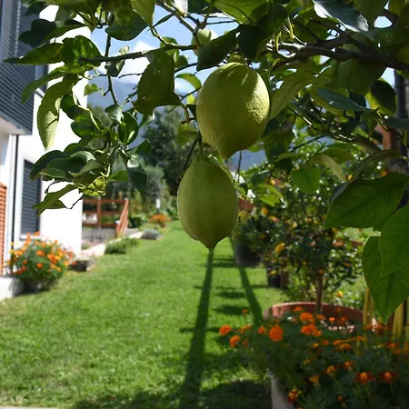 Il Giardino Dei Ciliegi Colico