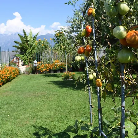 Il Giardino Dei Ciliegi * Colico