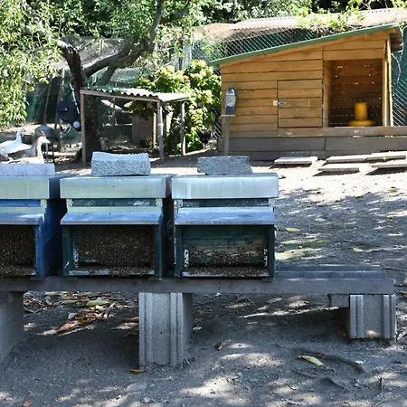 Il Giardino Dei Ciliegi Colico