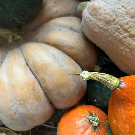 Daire Il Giardino Dei Ciliegi Colico