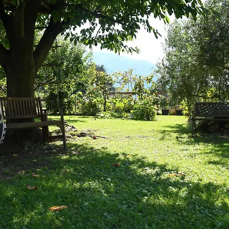 Il Giardino Dei Ciliegi Apartment *