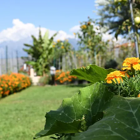 Apartment Il Giardino Dei Ciliegi Colico