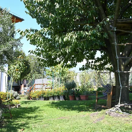 Il Giardino Dei Ciliegi *