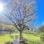 Apartman Il Giardino Dei Ciliegi