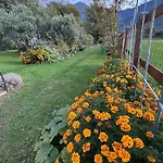 Il Giardino Dei Ciliegi *