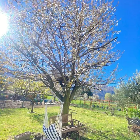 Apartmán Il Giardino Dei Ciliegi
