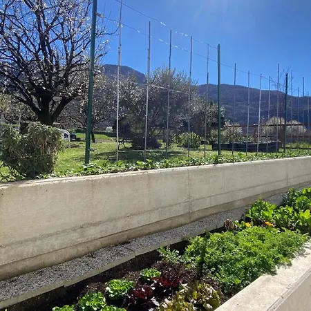 Apartmán Il Giardino Dei Ciliegi *