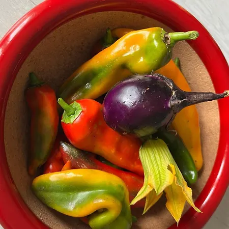 Il Giardino Dei Ciliegi Apartmán Colico