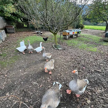 Il Giardino Dei Ciliegi Apartman